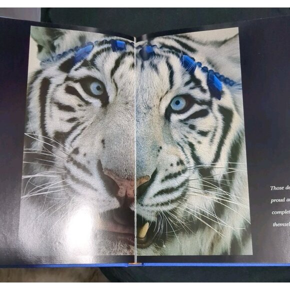 Vavras Cats by Robert Vavra Hardcover 1st Ed1996 Dust Jacket Pets kitten - Picture 12 of 14